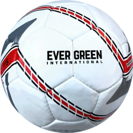 Futsal Balls (Training Quality)